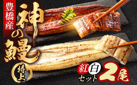 [紅白セット]うなぎの新ブランド、開幕。『神の鰻』2尾 国産 特上