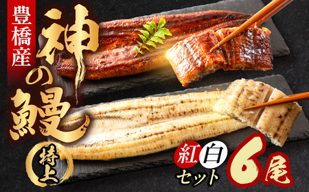 �y�g���Z�b�g�z���Ȃ��̐V�u�����h�A�J���B�w�_�̉V�x6�� ���Y ����