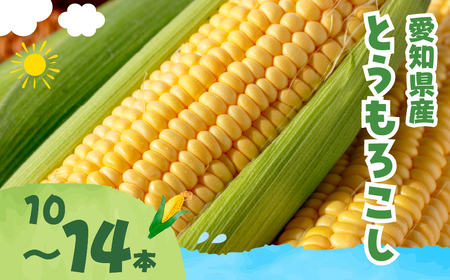 ≪先行予約≫とうもろこし 訳あり 10本 ~ 14本