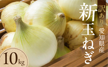 新玉ねぎ 大玉 訳あり 10kg（小傷・変形）
