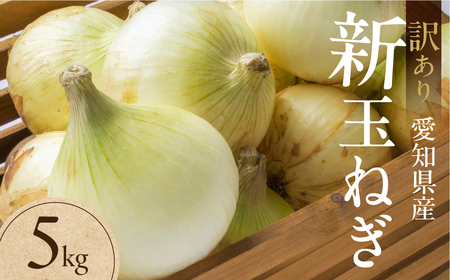 新玉ねぎ 大玉 訳あり 5kg(小傷・変形)