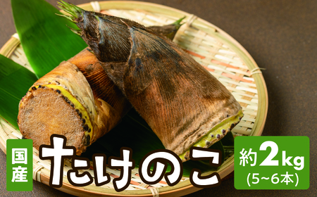 たけのこ 2kg (5~6本) 筍