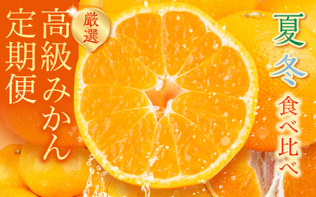 高級みかん 食べ比べ定期便 全2回 冬 夏 みかん 食べ比べ