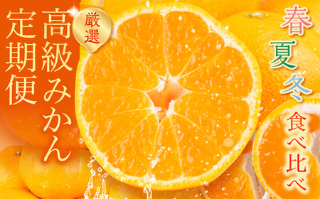 高級みかん 食べ比べ定期便 3回 春夏冬 みかん