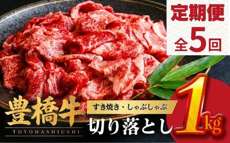 豊橋牛 定期便5回隔月 1kg 国産 牛肉
