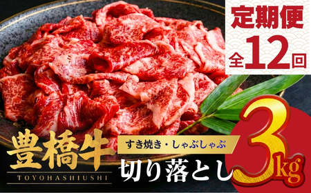 豊橋牛 定期便12回毎月 3kg 国産 牛肉