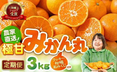 [3回お届け]極甘温州みかん『みかん丸』3kg 温州みかん