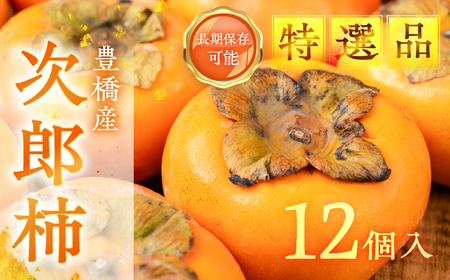 ≪贈答用≫ 次郎柿 12個入 (L~2L) 豊橋石巻柿工房