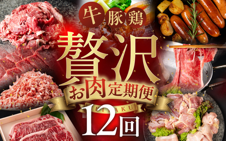 特選!贅沢お肉定期便 12回 肉 牛肉 豚肉 鶏肉 ブランド牛 サーロイン ロース バラ 焼肉 すき焼き ステーキ しゃぶしゃぶ 名古屋コーチン ミンチ 切り落とし 黒毛和牛 和牛 定期便 12ヶ月 毎月お届け どうまい 愛知県 豊橋市 送料無料