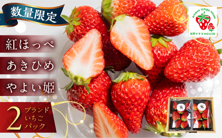 ≪数量限定≫ ブランドいちご 2パック 約 500g 紅ほっぺ あきひめ やよい姫 北野イチゴHOUSE いちご イチゴ 苺 ブランド 甘い 美味しい おススメ 人気 2パック 旬 フルーツ 果物 贈答 ギフト 愛知県 豊橋市