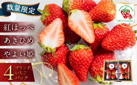 ≪数量限定≫ ブランドいちご 4パック 約 1000g 紅ほっぺ あきひめ やよい姫 北野イチゴHOUSE いちご イチゴ 苺 ブランド 甘い 美味しい おススメ 人気 4パック 旬 フルーツ 果物 贈答 ギフト 愛知県 豊橋市