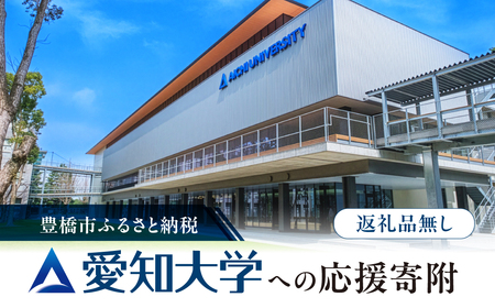 ≪返礼品無し≫[愛知大学]豊橋市大学応援寄附 3000円 大学寄附 愛知県豊橋市への寄附 返礼品無し 寄附のみ 豊橋市 穂の国 東三河 3000円 ポッキリ 愛知県 豊橋市