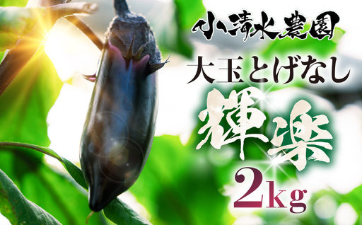 [先行予約]大玉なす とげなし輝楽 2kg 茄子 なす ナス 旨い 甘い 艶 ツヤ ハリ 揚げ物 揚げ茄子 焼茄子 麻婆茄子 輝楽 愛知県 豊橋市