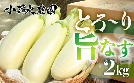 [先行予約]とろ〜り旨なす 2kg 茄子 なす 白茄子 白なす 白ナス ナス 旨い 甘い 艶 ツヤ ハリ 揚げ物 揚げ茄子 焼茄子 麻婆茄子 輝楽 愛知県 豊橋市