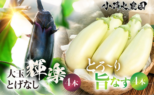 [先行予約]とげなし輝楽×とろ〜り旨なす 食べ比べセット 各4本 計8本 茄子 なす 白茄子 白なす 白ナス ナス 旨い 甘い 艶 ツヤ ハリ 揚げ物 揚げ茄子 焼茄子 麻婆茄子 輝楽 愛知県 豊橋市