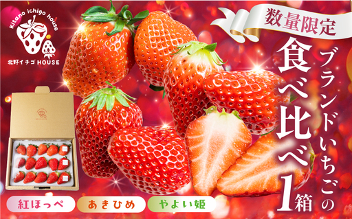 3種のイチゴ食べ比べセット 1パック 1箱 紅ほっぺ あきひめ やよい姫 章姫 北野イチゴHOUSE いちご 苺 ブランド 甘い 美味しい おススメ 人気 旬 フルーツ 果物 贈答 ギフト 箱 セット 食べ比べ プレゼント 愛知県 豊橋市