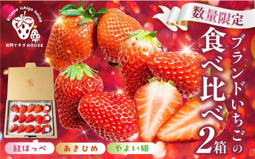 3種のイチゴ食べ比べセット 2パック 2箱 紅ほっぺ あきひめ やよい姫 章姫 北野イチゴHOUSE いちご 苺 ブランド 甘い 美味しい おススメ 人気 旬 フルーツ 果物 贈答 ギフト 2箱 セット 食べ比べ プレゼント 愛知県 豊橋市