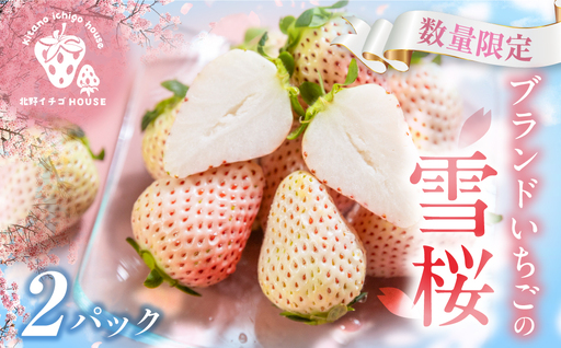 希少白いちご 雪桜 2P 高級 苺