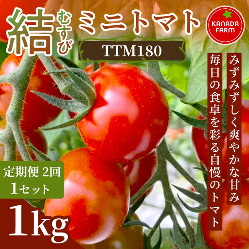 [先行予約][定期便2ヶ月]結(むすび)ミニトマト(TTM180)1kg 定期便 みずみずしく爽やかな甘み 新鮮野菜 フルーツ 旬 サラダ デザート お弁当 朝食 料理用 そのまま食べる おうちごはん お取り寄せ 産地直送 贈り物 手土産 愛知県 豊橋市