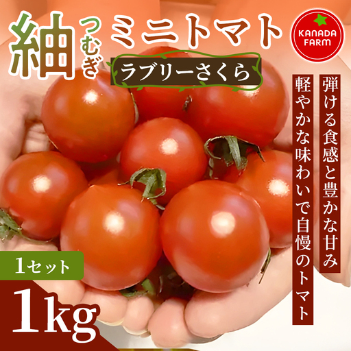 [先行予約]紬(つむぎ)ミニトマト(ラブリーさくら) 1kg 1セット 新鮮野菜 フルーツ 旬 サラダ デザート お弁当 朝食 料理用 そのまま食べる おうちごはん お取り寄せ 弾ける食感と豊かな甘み 産地直送 贈り物 手土産 愛知県 豊橋市