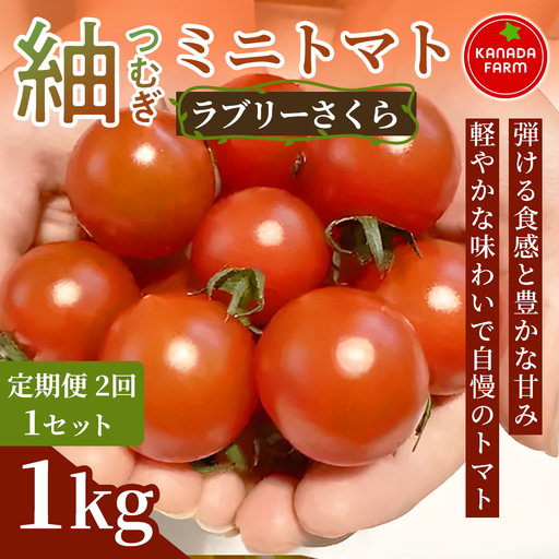 [先行予約][定期便2ヶ月]紬(つむぎ)ミニトマト(ラブリーさくら) 1kg 定期便 弾ける食感と豊かな甘み 新鮮野菜 フルーツ 旬 サラダ デザート お弁当 朝食 料理用 そのまま食べる おうちごはん お取り寄せ 産地直送 贈り物 手土産 愛知県 豊橋市