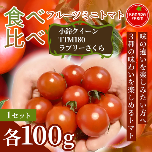 [先行予約][3種の味わいを楽しめる]フルーツミニトマト食べ比べセット 1セット 野菜 食べ比べ 詰め合わせ サラダ 食材 おうちごはん 家庭用 贈り物 女性向け お取り寄せ 新鮮 旬 産地直送 愛知県 豊橋市