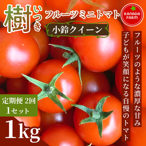 [先行予約][定期便2ヶ月]樹(いつき)フルーツミニトマト(小鈴クイーン)1kg 定期便 甘い野菜 デザート感覚 おやつ スイーツ感覚 サラダ用 そのまま食べる フルーツのような濃厚な甘み 旬 家庭用 贈り物 お取り寄せ 産地直送 愛知県 豊橋市