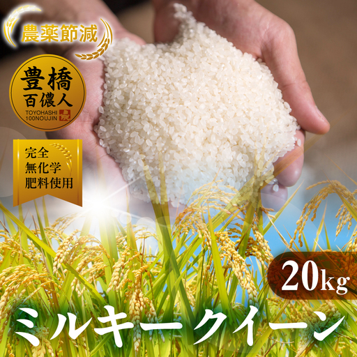 令和7年産 ミルキークイーン 20kg 白米 ブランド米 ミルキー ミルキｰクイｰン お米 こめ 米 ※ コメ ご飯 生活必需品 日用品 人気 美味しい 取り寄せ 20キロ 送料無料 愛知県 豊橋市