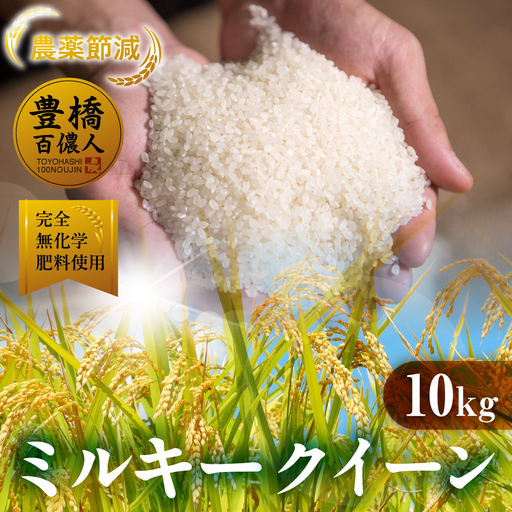 令和7年産 ミルキークイーン 10kg 定期便 3回 白米 ブランド米 ミルキー ミルキｰクイｰン お米 こめ 米 ※ コメ ご飯 生活必需品 日用品 定期 定期配送 人気 美味しい 取り寄せ 10キロ 3か月 送料無料 愛知県 豊橋市