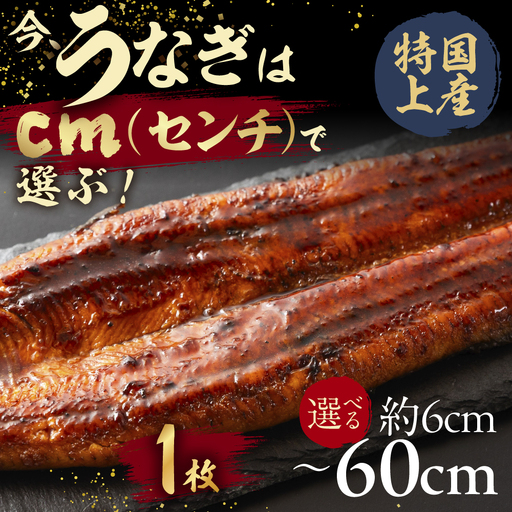 [うなぎ蒲焼 6cm(1枚)]今、うなぎはセンチで選ぶ! 長さ選べる 国産 蒲焼 カット鰻 ウナギ unagi カット済 うな重 冷凍 うな丼 ストック タレ付 選べる 簡単 簡単調理 訳あり 規格外 人気 三河 愛知県 豊橋市