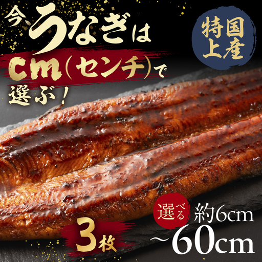[うなぎ蒲焼 18cm(6cm×3枚)]今、うなぎはセンチで選ぶ! 長さ選べる 国産 蒲焼 カット鰻 ウナギ unagi カット済 うな重 冷凍 うな丼 ストック タレ付 選べる 簡単 簡単調理 訳あり 規格外 人気 三河 愛知県 豊橋市