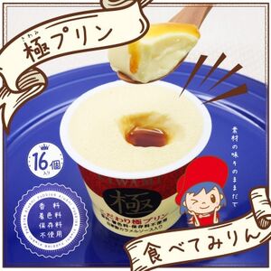 こだわり極プリンとプリン専用スプーンのセット【配送不可地域：離島】【1430286】