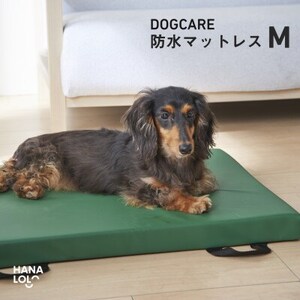 ドッグケア 床ずれ予防マットレス M