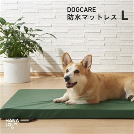 ドッグケア　床ずれ予防マットレス　L【1645676】