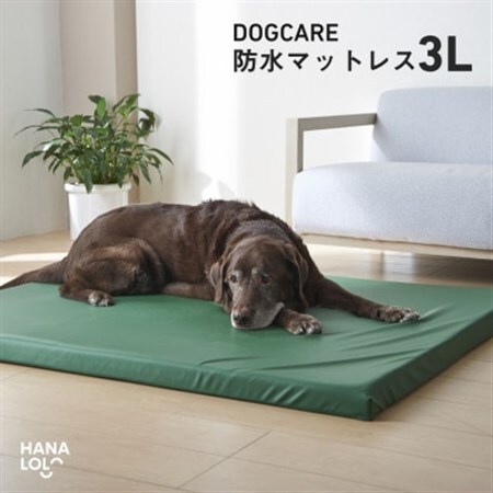 ドッグケア　床ずれ予防マットレス　3L【1645715】