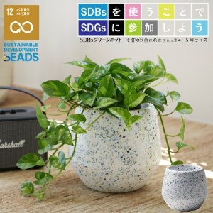 [ハナロロ] サステナブル 7色ビーズの鉢カバー 