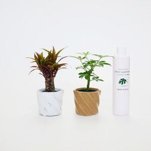 花 定期的の返礼品 検索結果 | ふるさと納税サイト「ふるなび」