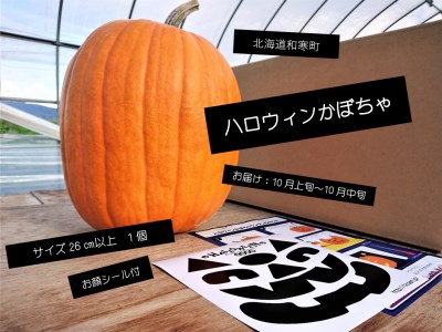 [ふるさと納税]≪令和6年10月お届け≫ハロウィンかぼちゃ
