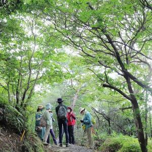 「瀬戸の森ツアー」 世界的にも多様性豊かな愛知県瀬戸市の森をガイドと共に散策します。