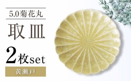 [瀬戸焼]5.0菊花丸取皿 黄瀬戸 2枚セット [ヤマハツクリタ株式会社] / 食器 和食器 丸皿 / 瀬戸市[BBDV023]