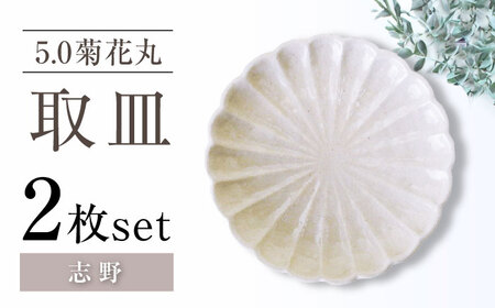[瀬戸焼]5.0菊花丸取皿 志野 2枚セット [ヤマハツクリタ株式会社] / 食器 和食器 丸皿 / 瀬戸市[BBDV024]