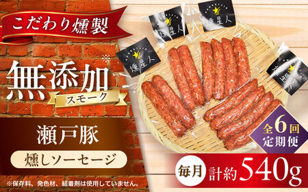 【全6回定期便】燻しソーセージ 12本 / 燻製 豚肉 スモーク おつまみ / 瀬戸市 / 天佑[BBBZ024]