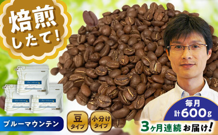 [全3回定期便]ブルーマウンテンNo.1 コーヒー豆 200g×3個 (豆) / コーヒー ドリップ 豆 / 瀬戸市 / Coffee SAKURA[BBAB079]