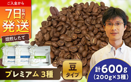 �y���J���̈�t�Ɂz�v���~�A���R���N�V���� 3��Z�b�g(��) / ���� �R�[�q�[ / ���ˎs / �b�����������@�r�`�j�t�q�`[BBAB146]