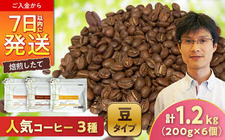 [店主厳選]人気コーヒー 3種セット(豆) / 珈琲 コーヒー / Coffee SAKURA[BBAB148]