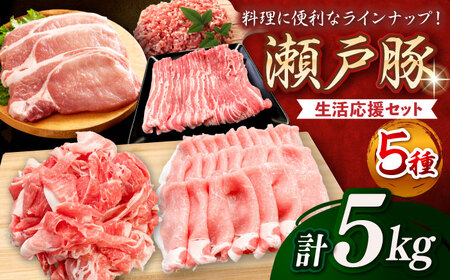 瀬戸豚 生活応援セット 計5kg / 豚肉 小分け しゃぶしゃぶ セット / 瀬戸市 / 関屋精肉店[BBBQ160]