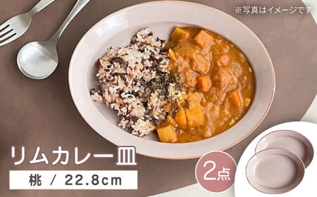 [瀬戸焼]リムカレー皿 2枚セット(桃)[株式会社カネ三商店] / 皿 食器 カレー皿 ギフト プレゼント / 瀬戸市[BBDD013]
