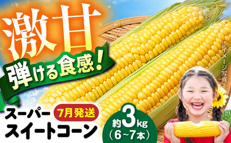 [7月上旬頃より発送]スーパースイートコーン 約3kg(6〜7本) / とうもろこし トウモロコシ コーン 新鮮 野菜 / 瀬戸市 / 株式会社フラットフィールド[BBEE005]
