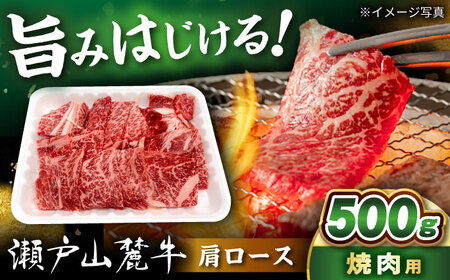 瀬戸山麓牛 肩ロース 焼肉用 500g / 牛肉 国産 和牛 焼肉 / 瀬戸市 / 関屋精肉店[BBBQ221]