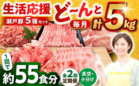[全2回定期便] 瀬戸豚 生活応援セット 計5kg / 豚肉 豚バラ しゃぶしゃぶ ミンチ セット 小分け / 瀬戸市 / 関屋精肉店[BBBQ227]